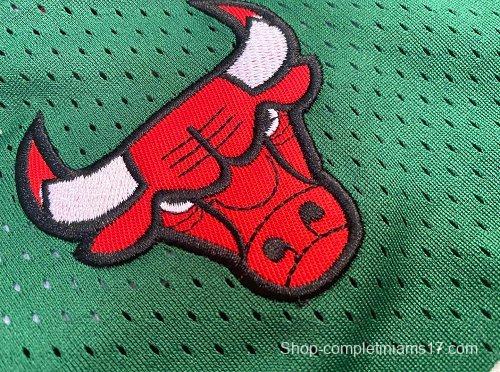 Men's Michael Jordan Green Retro Classic Team Jersey