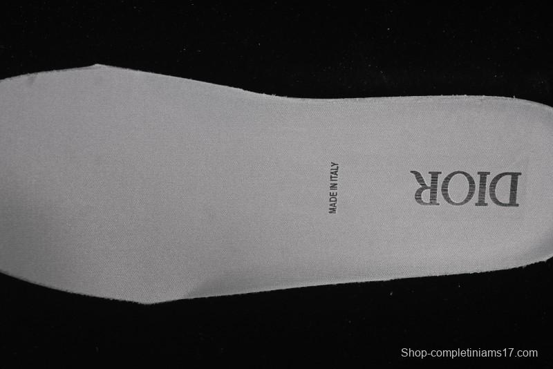 Dior B30 CD Sneakers - AJE5